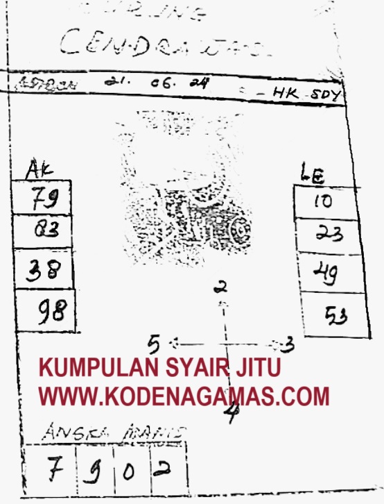 SYAIR SDY VIP